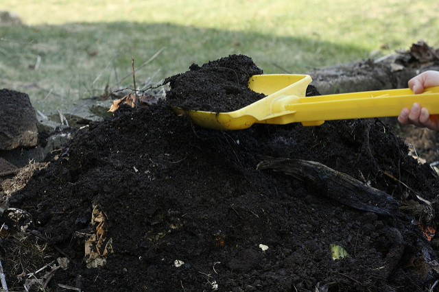 Compost